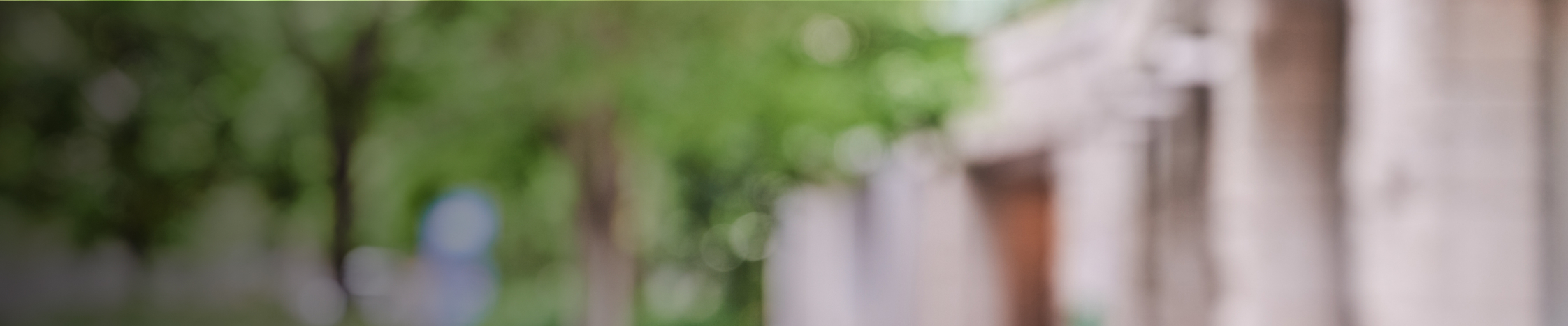 Blurred background banner image
